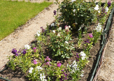 Parterre de fleurs